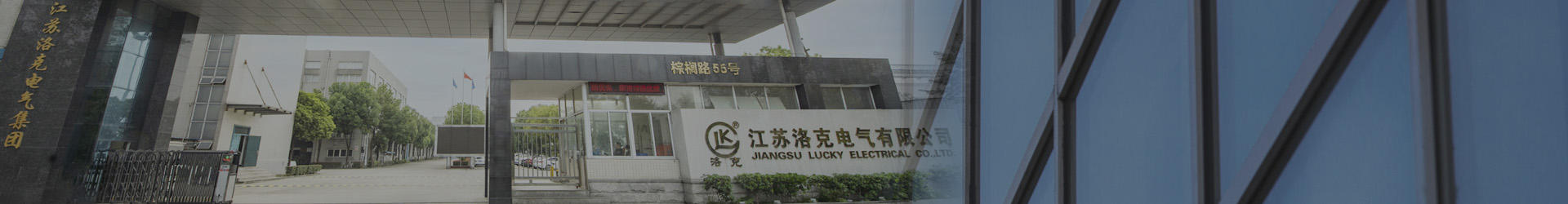 公司信息
